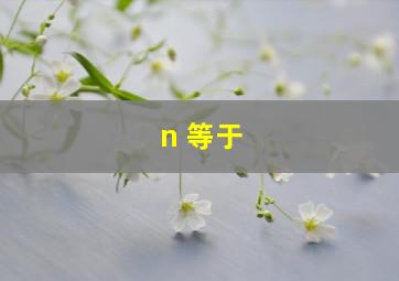 n 等于